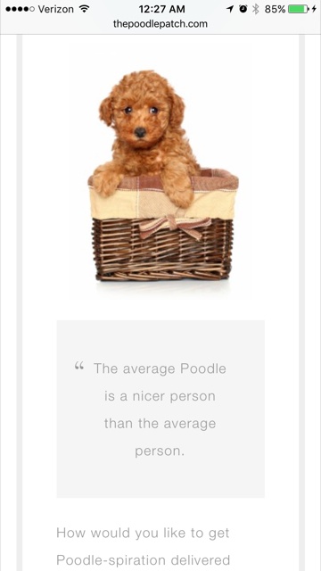 When Teresa called me