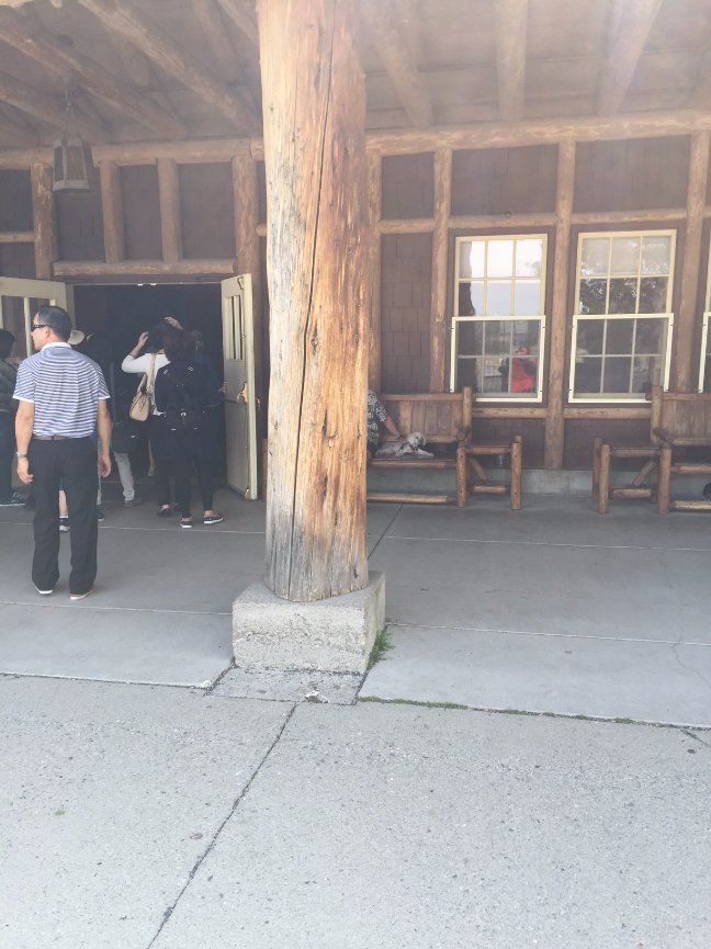 When Teresa called me