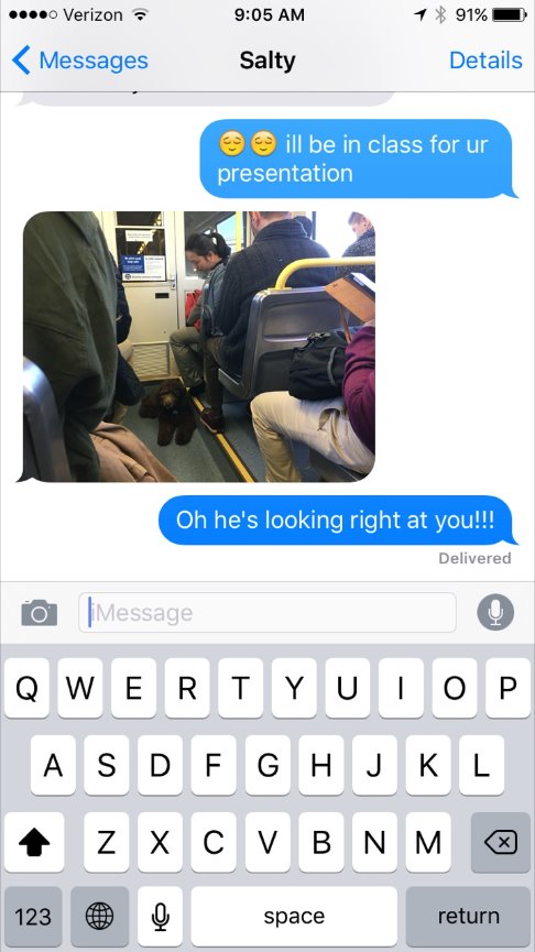 When Teresa called me