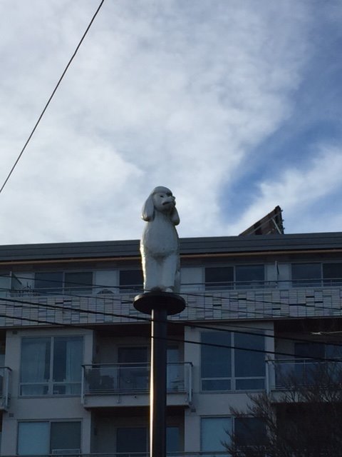 When Teresa called me