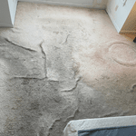 What Causes Carpet Wrinkles and How to Fix Them with Carpet Stretching