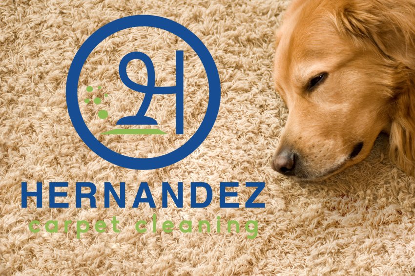 Pet Urine? We Can Help! Hernandez Carpet Cleaning Greensboro