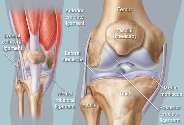 ACL Tear. Your Treatment Options! - The Orthobiologic Clinic