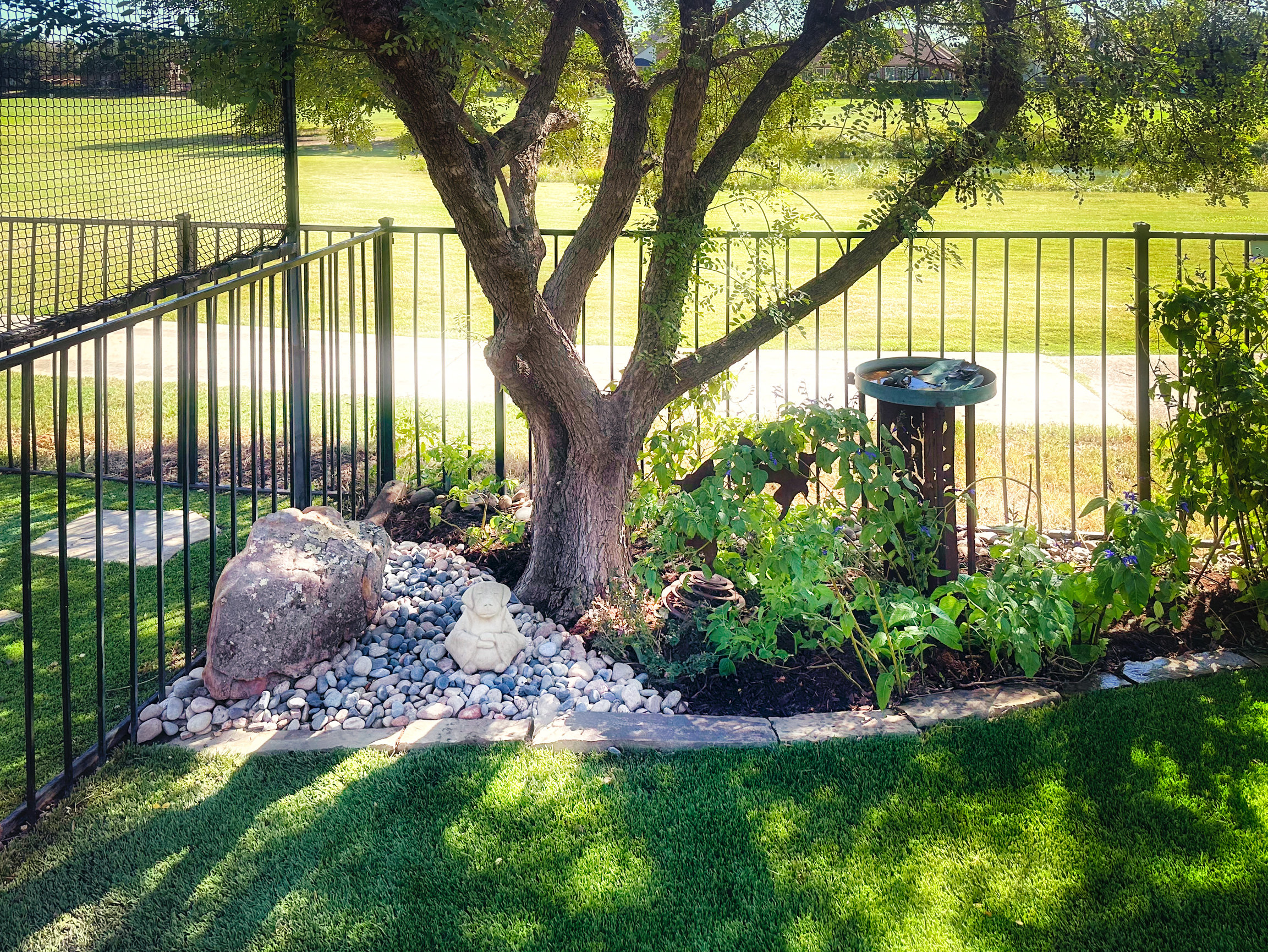 pet barriers for yard